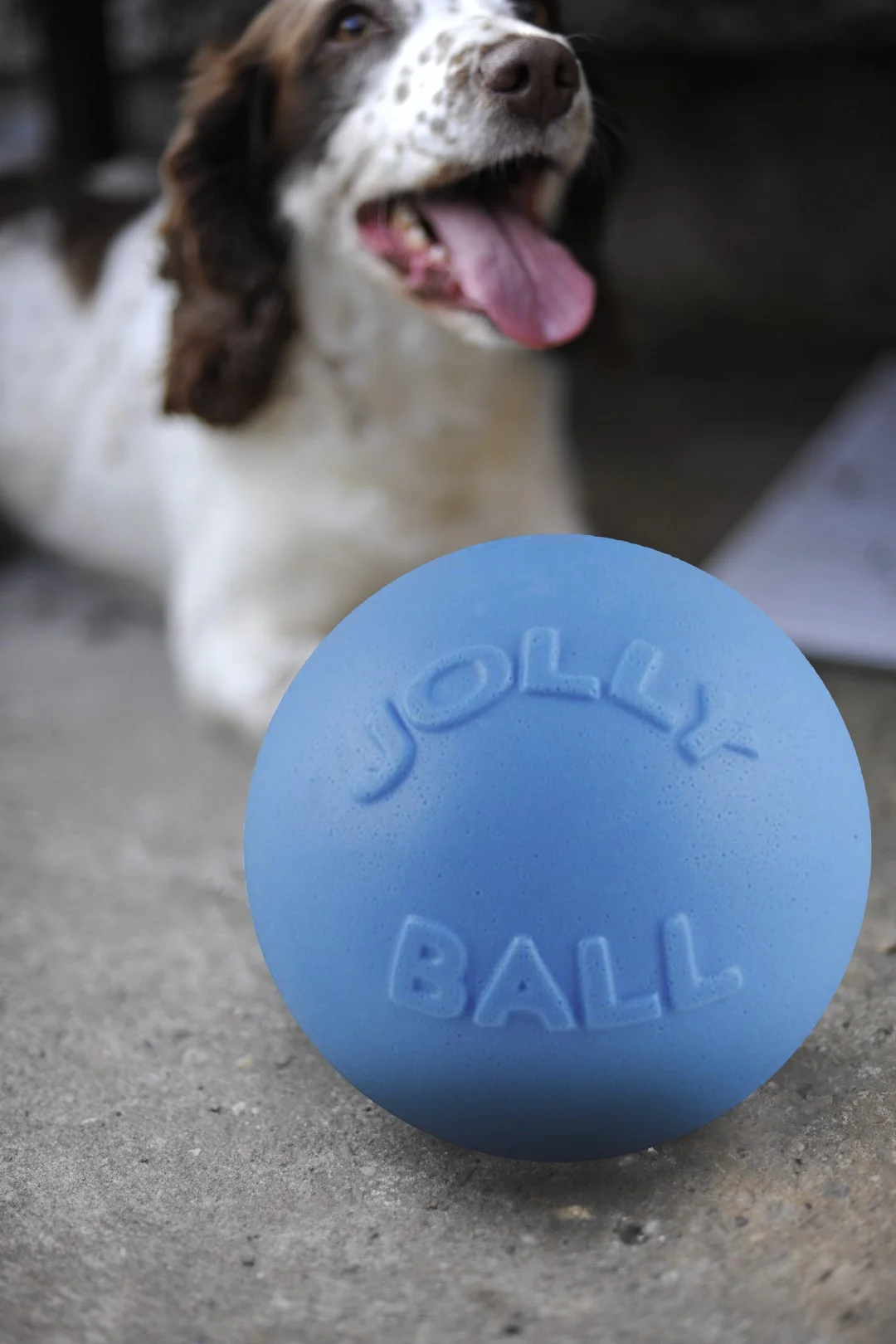 Minge săltăreață pentru câini, plutitoare, afine L, 20 cm – Jolly Pets Bounce-n Play - imagine 4