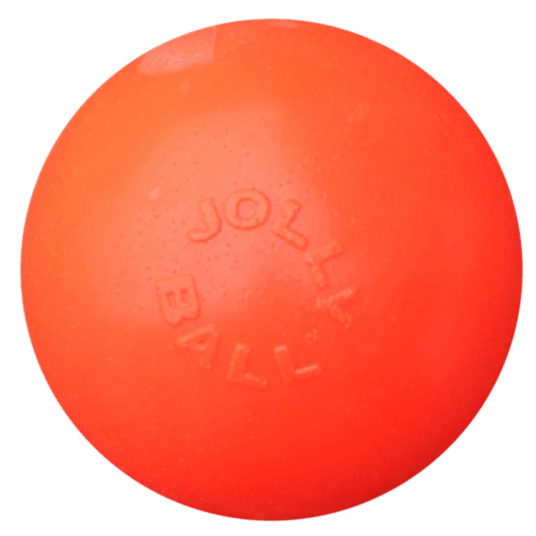 Minge săltăreață pentru câini, plutitoare, Vanilie L, 20 cm – Jolly Pets Bounce-n Play