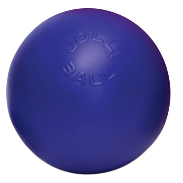 Minge pentru câini cu suprafață netedă, albastră, 15 cm – Jolly Pets Push-n-Play