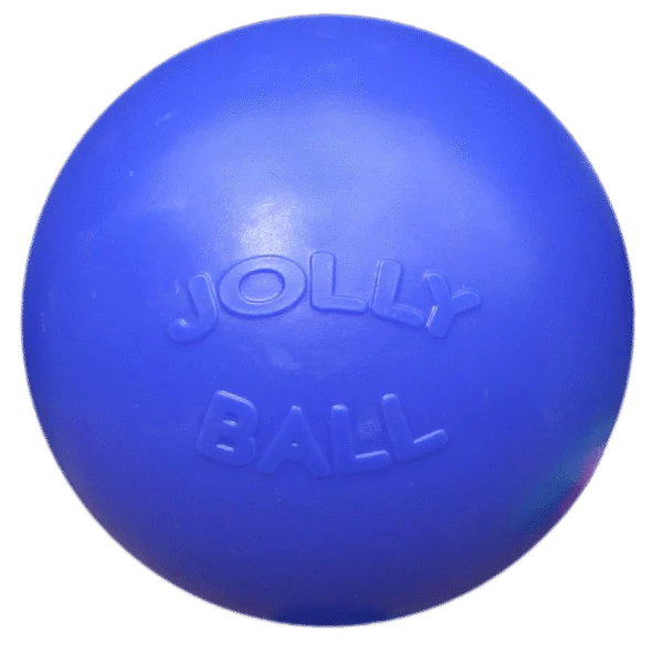 Minge pentru câini cu suprafață netedă, albastră, 35 cm – Jolly Pets Push-n-Play