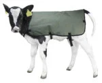 Pătură pentru viței impermeabilă și respirabilă, marcă proprie, 70 cm – Hofman Animal Care Calf Coat - imagine 4