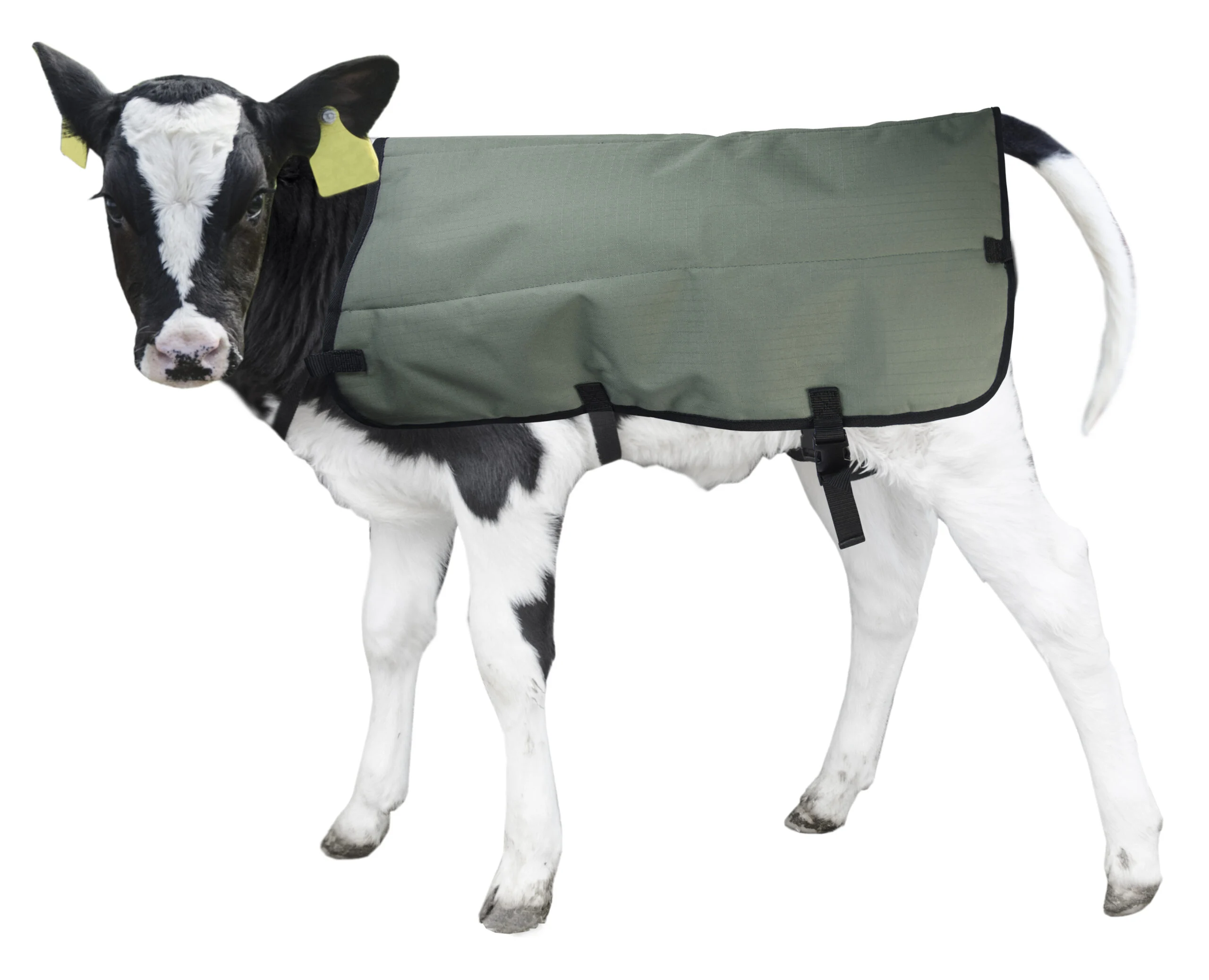Pătură pentru viței impermeabilă și respirabilă, marcă proprie, 70 cm – Hofman Animal Care Calf Coat - imagine 4