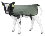 Pătură pentru viței, impermeabilă și respirabilă, 70 cm – Hofman Animal Care Calf Coat - imagine 2