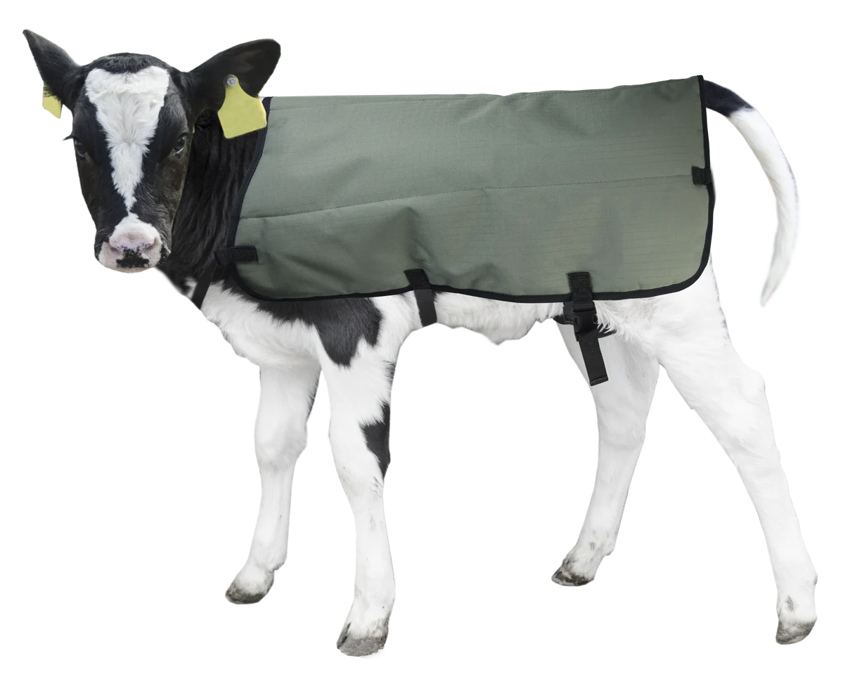 Pătură pentru viței, impermeabilă și respirabilă, 70 cm – Hofman Animal Care Calf Coat - imagine 2