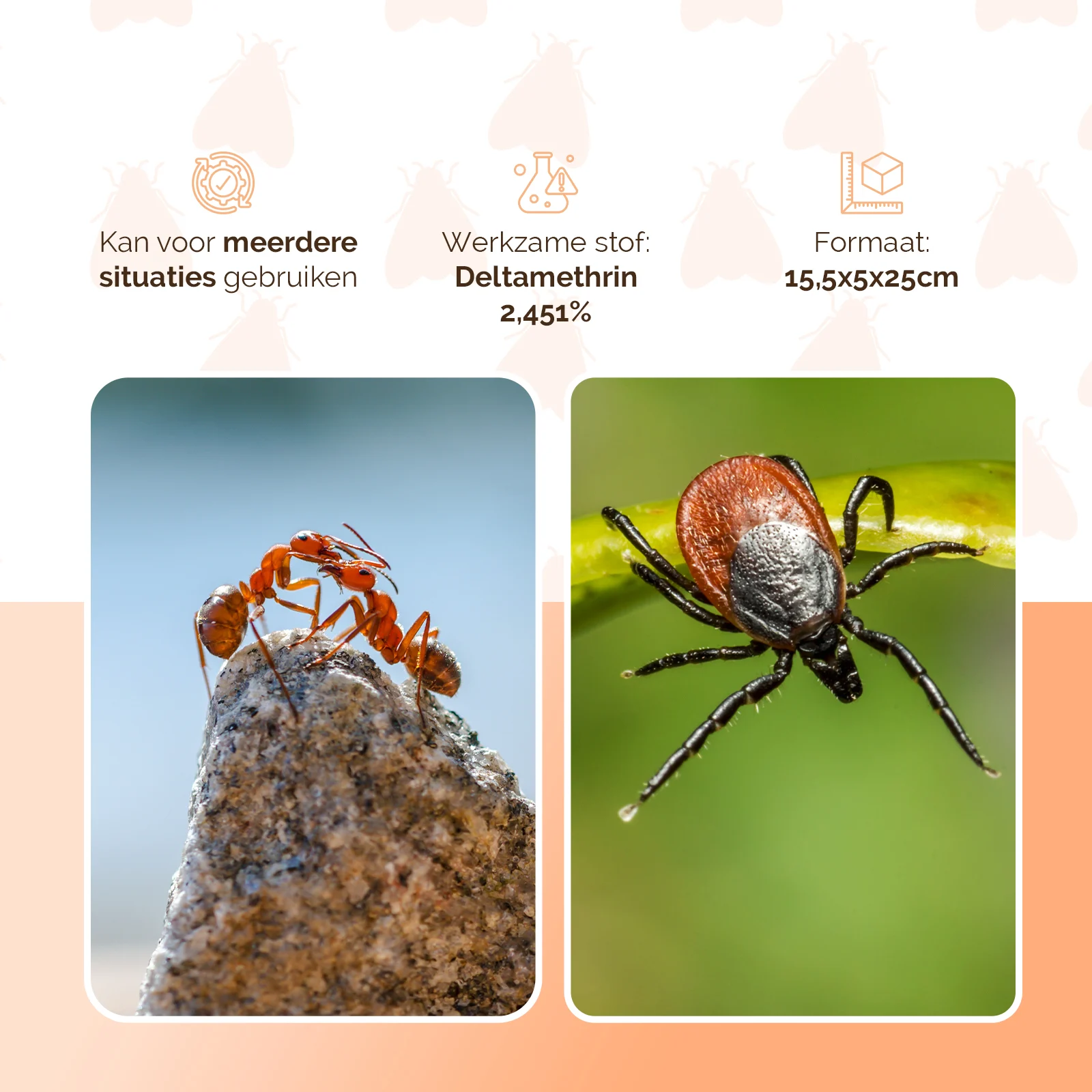 Insecticid împotriva insectelor târâtoare, pentru 5 l de soluție, cu pulverizator – Knock Pest - imagine 3