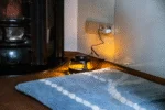 Capcană de insecte cu lumină caldă și albastră, 5 plăci adezive – Knock Pest - imagine 3