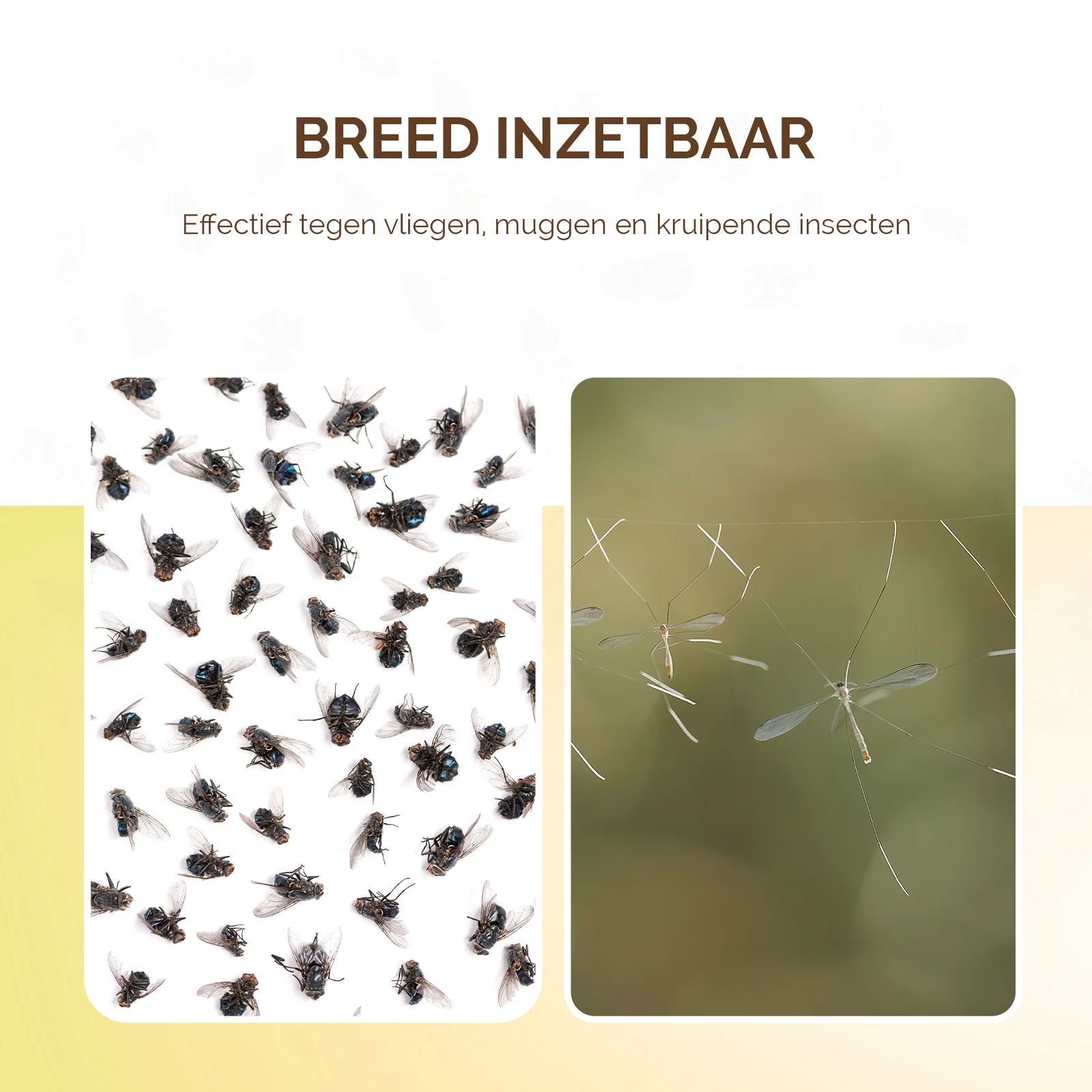 Placă adezivă pentru capcană de insecte, fără otravă Ø 13,5 cm – Knock Pest - imagine 3