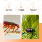 Capcană de insecte cu lumină caldă și albastră, 5 plăci adezive – Knock Pest - imagine 6