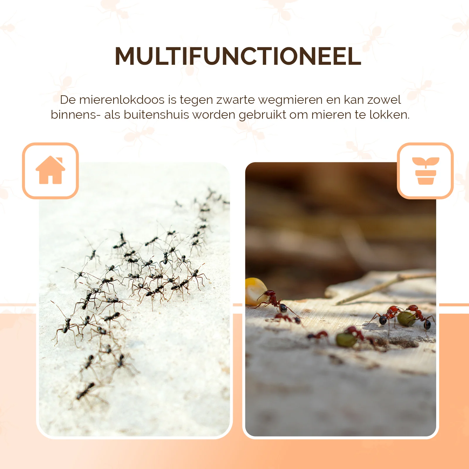 Capcană cu momeală pentru furnici negre de grădină, 2 bucăți – Knock Pest - imagine 4