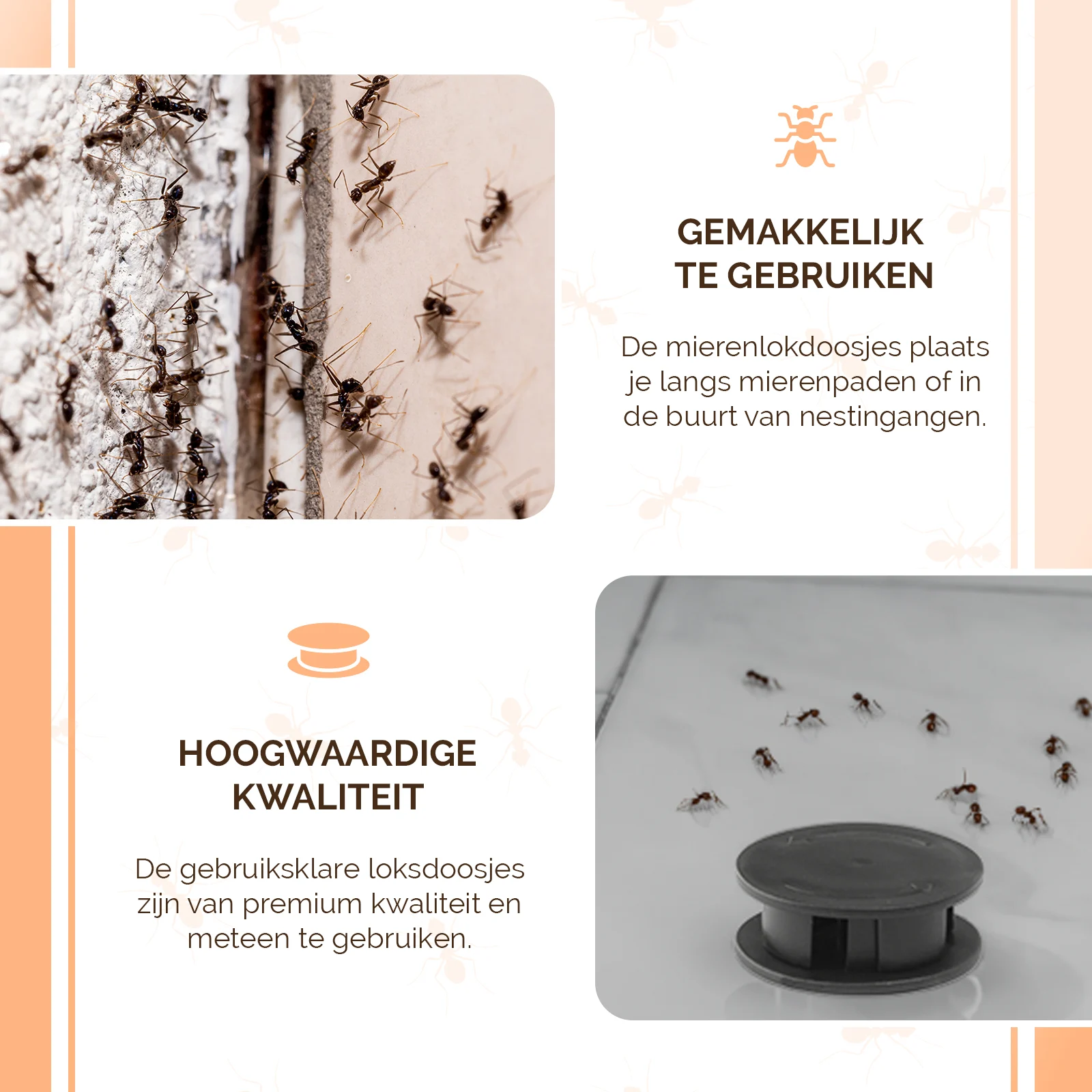 Capcană cu momeală pentru furnici negre de grădină, 2 bucăți – Knock Pest - imagine 5