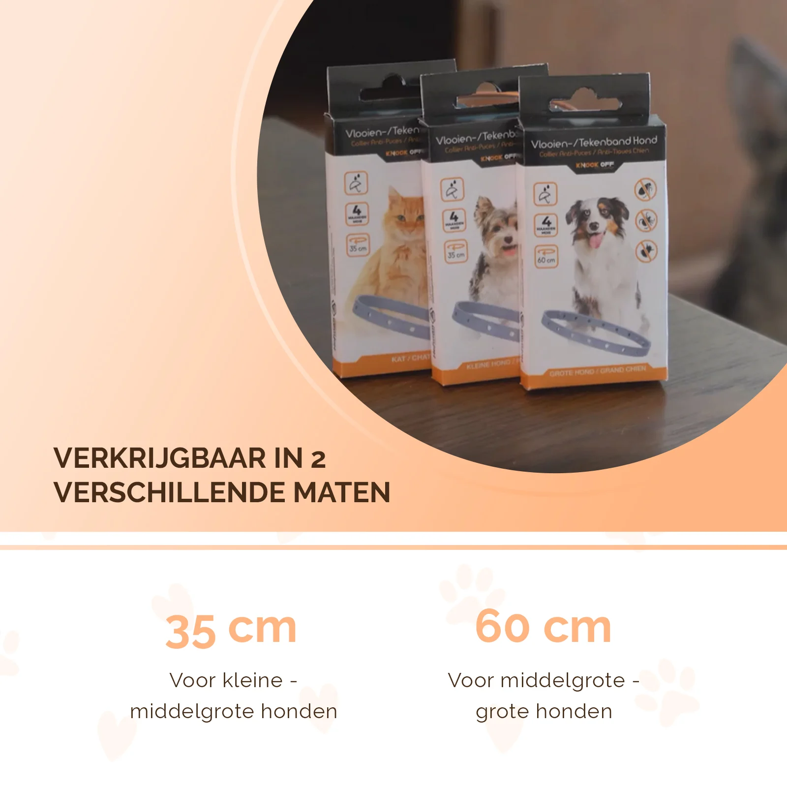 Zgardă antiparazitară pentru câini împotriva puricilor, 59 cm, în germană și engleză – Knock Pest - imagine 5