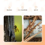 Spray pentru înghețarea insectelor cu două moduri de pulverizare – Knock Pest Freeze It - imagine 3