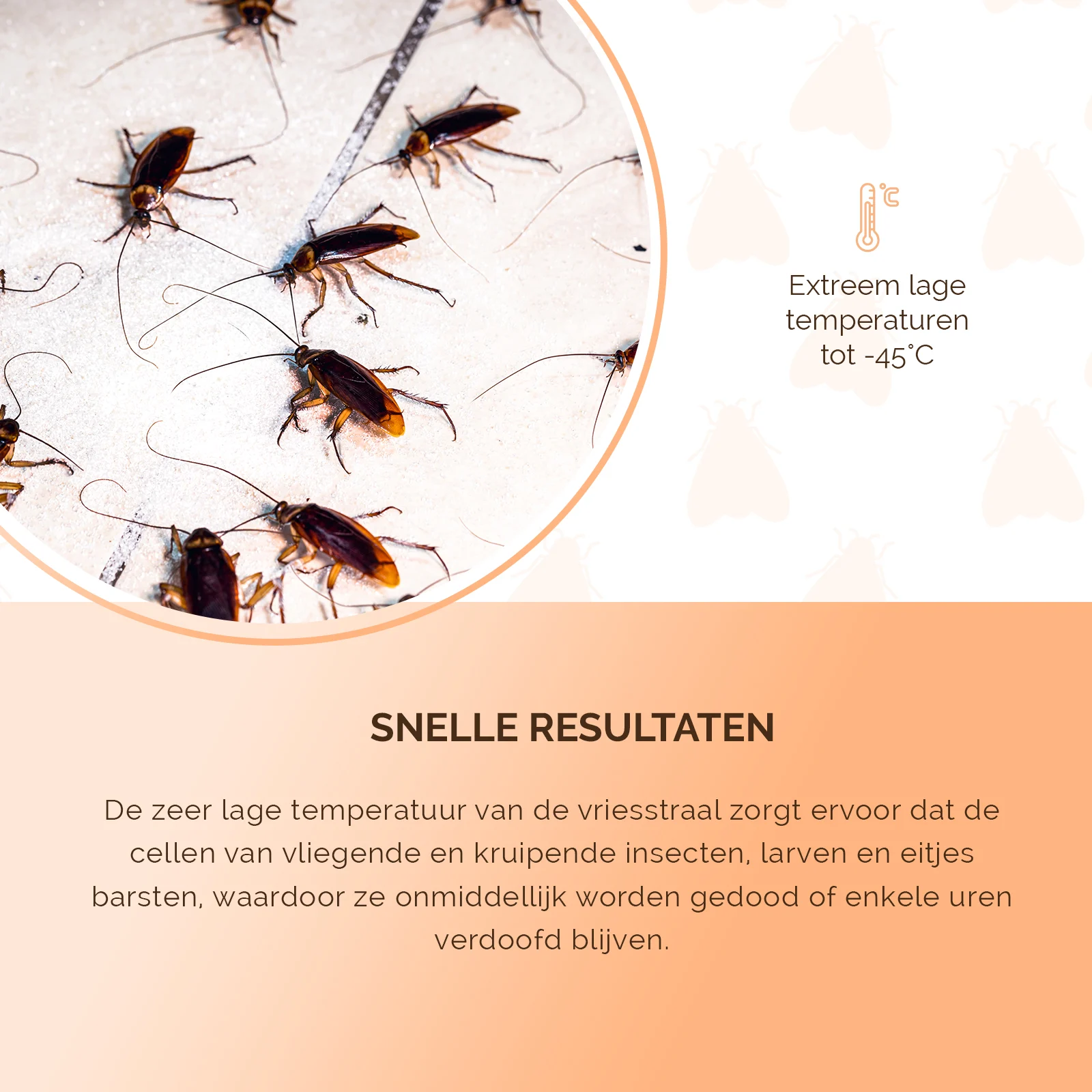 Spray pentru înghețarea insectelor cu două moduri de pulverizare – Knock Pest Freeze It - imagine 5