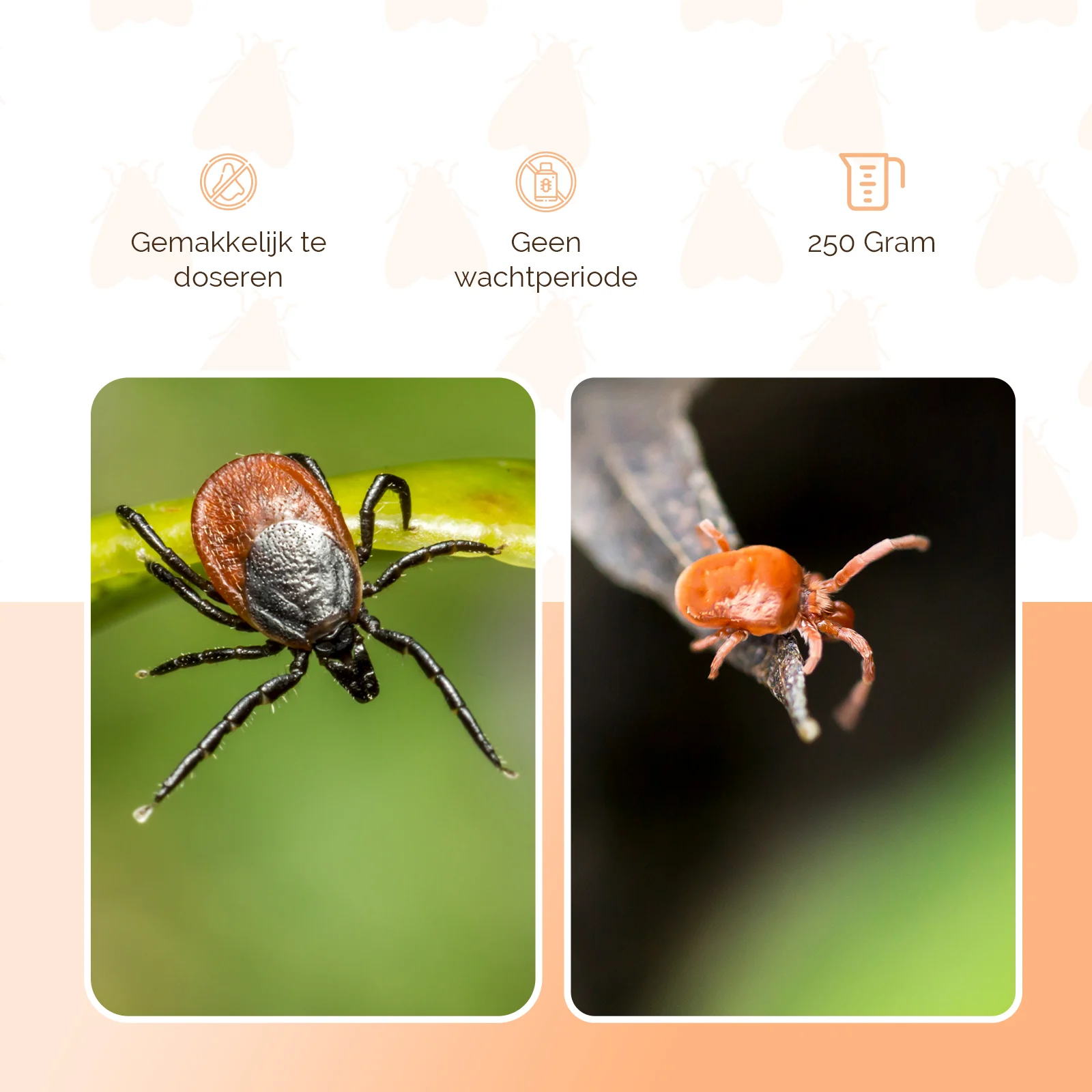Pulbere insecticidă împotriva acarienilor roșii în cotețele de găini, 250 g – Knock Pest - imagine 3