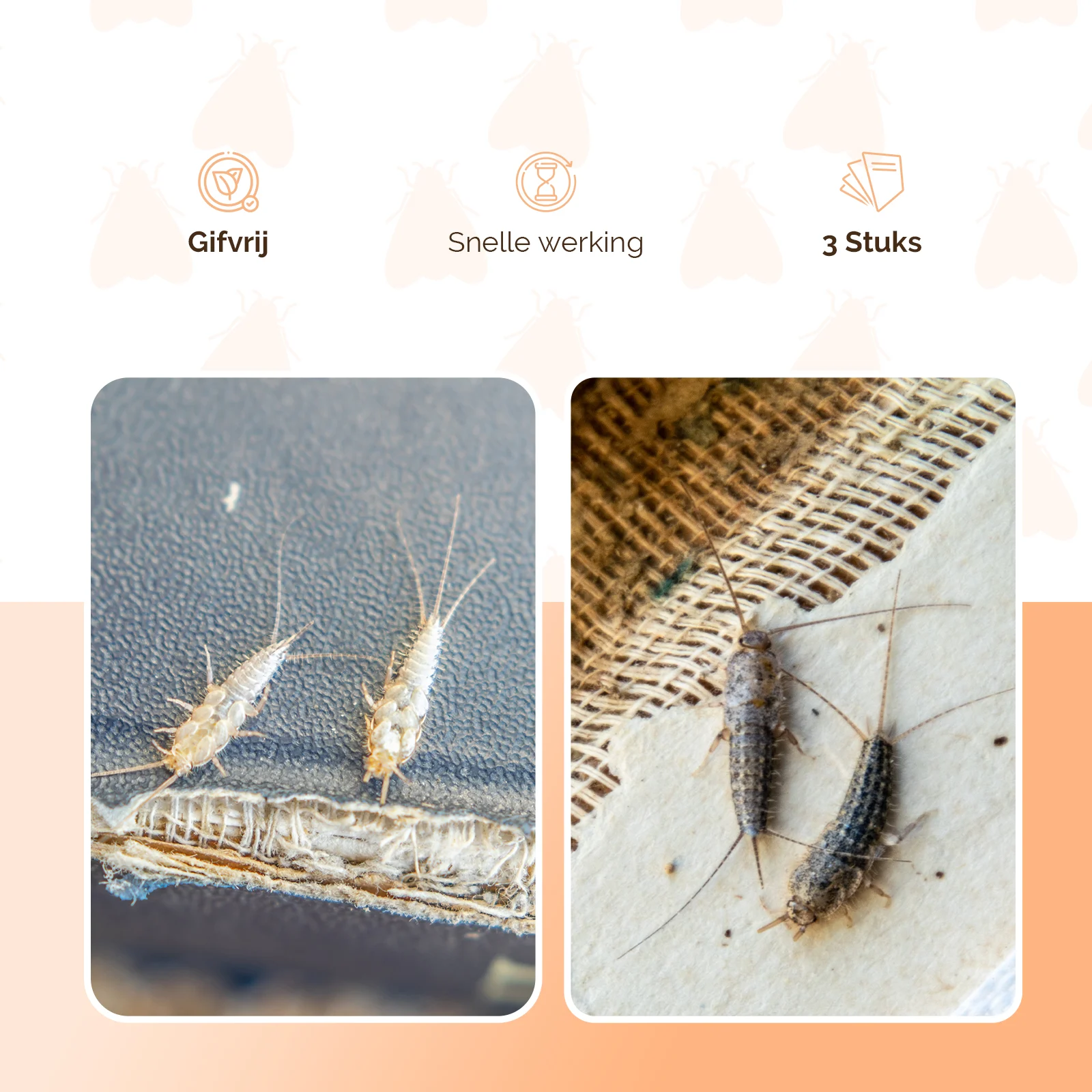 Capcană pentru peștișori de hârtie, fără insecticid, 3 bucăți – Knock Pest Delta - imagine 4