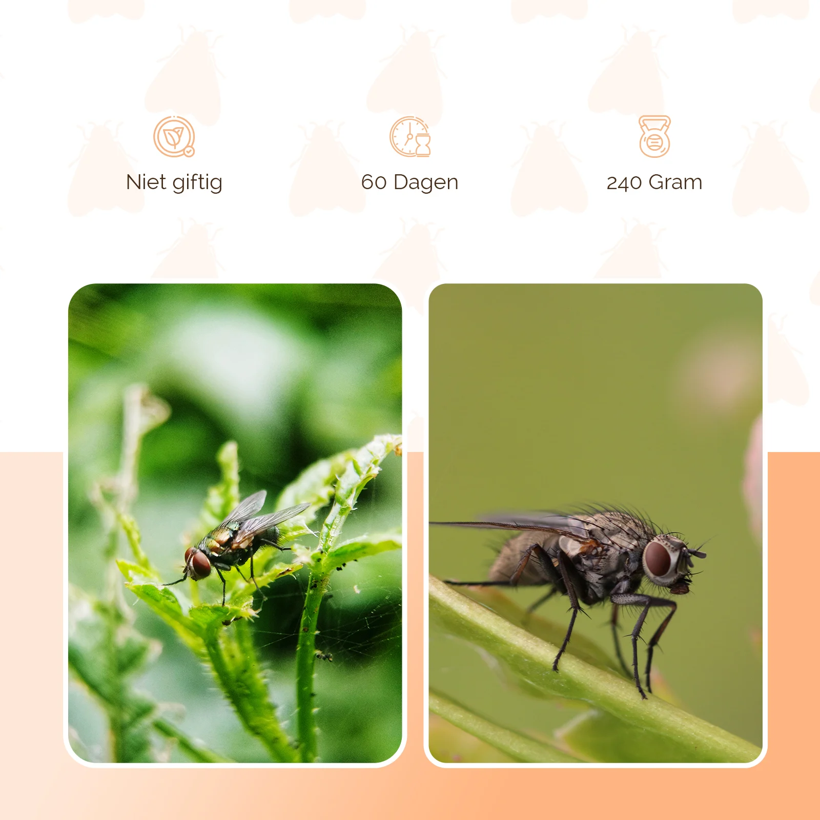Momeală pentru capcana de muște, 240 g – Knock Pest FlyNip - imagine 3
