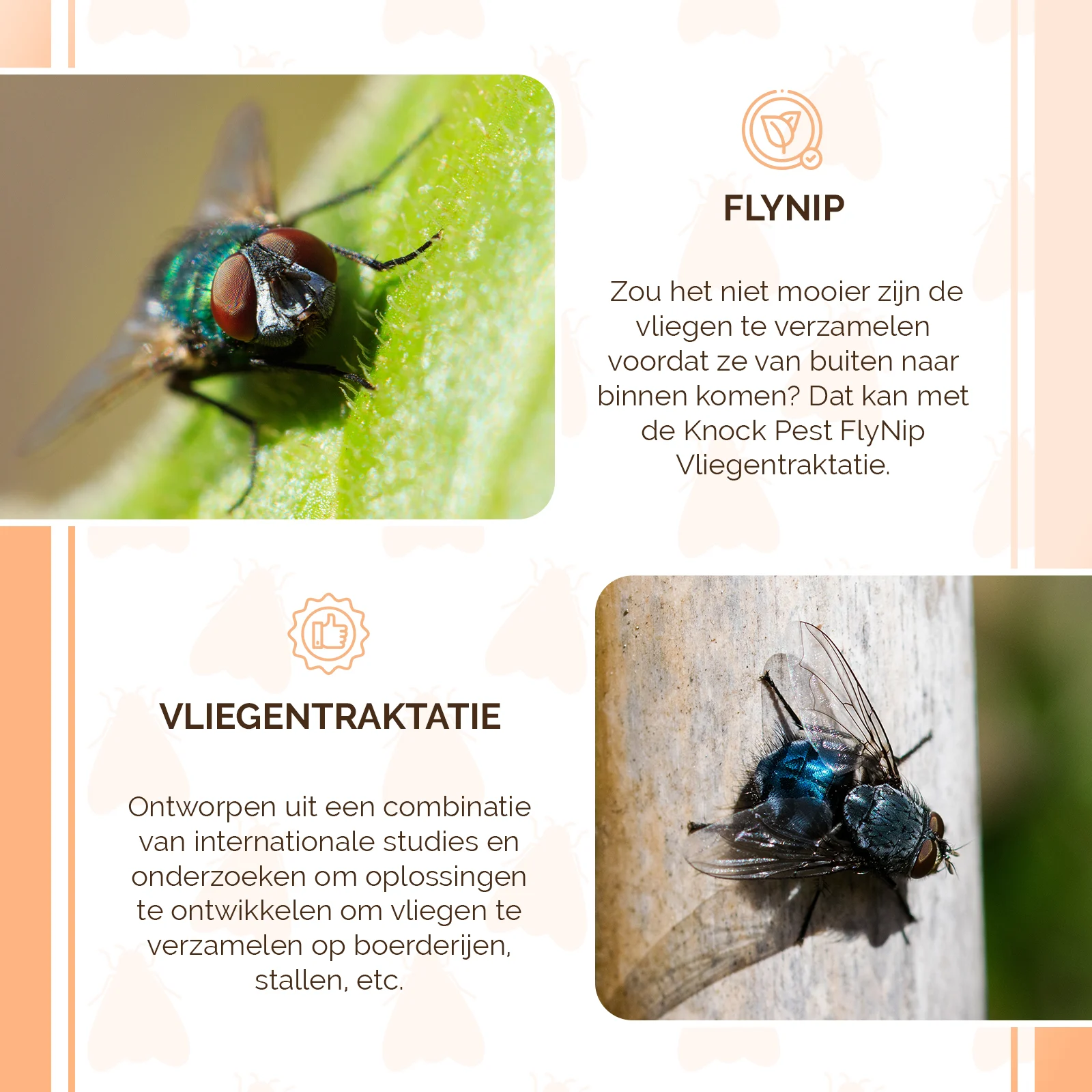 Momeală pentru capcana de muște, 240 g – Knock Pest FlyNip - imagine 4
