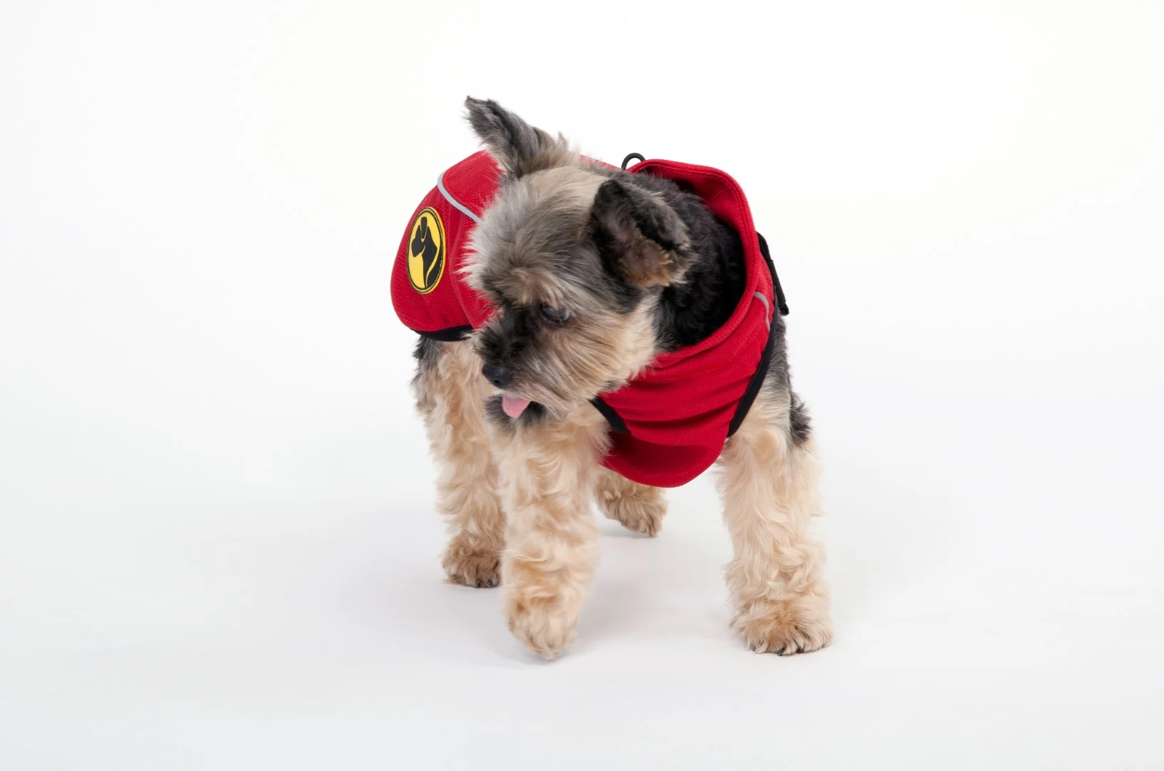 Haină pentru câini împotriva căpușelor și puricilor, cu element reflectorizant, XXXXS, lungimea spatelui 20 cm – Dog Armor Knockdown Coat (Insect Shield) - imagine 6