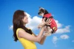 Haină pentru câini împotriva căpușelor și puricilor, cu element reflectorizant, XXXXS, lungimea spatelui 20 cm – Dog Armor Knockdown Coat (Insect Shield) - imagine 5