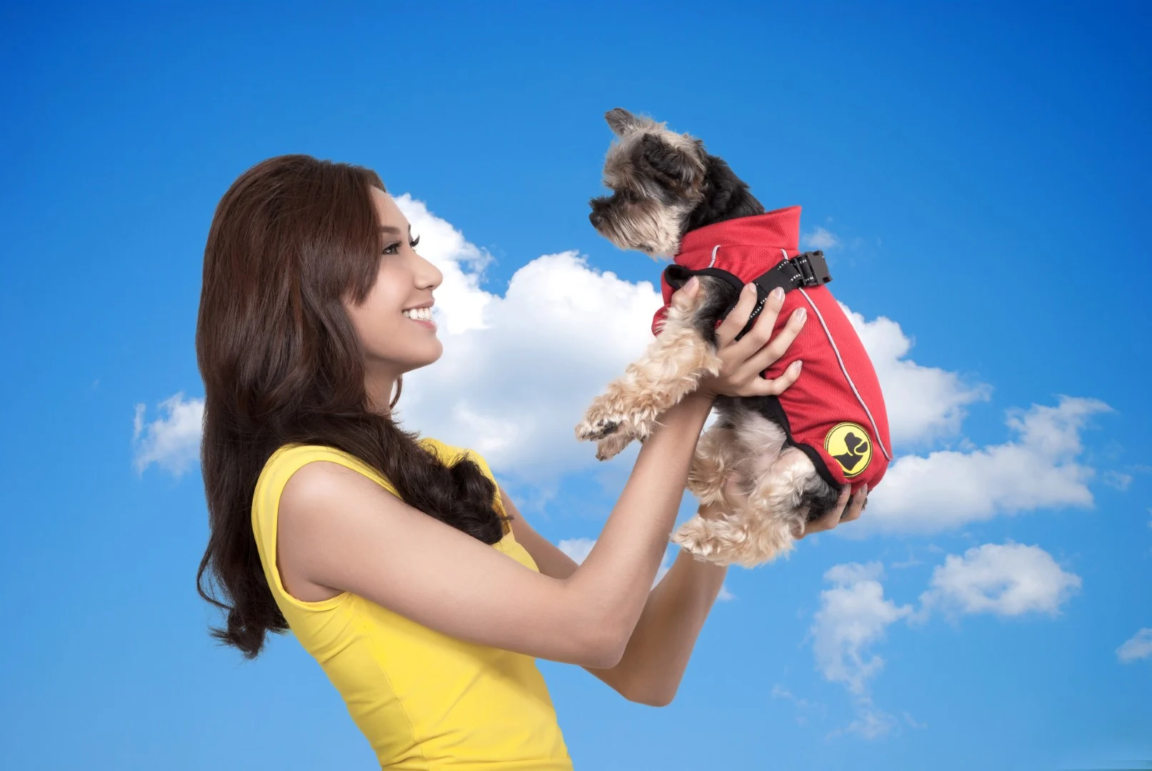 Haină pentru câini împotriva căpușelor și puricilor, cu element reflectorizant, XXXXS, lungimea spatelui 20 cm – Dog Armor Knockdown Coat (Insect Shield) - imagine 5