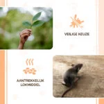 Pelete momeală pentru șoareci și șobolani, 50 g – Knock Pest Traktatie Pellets - imagine 4