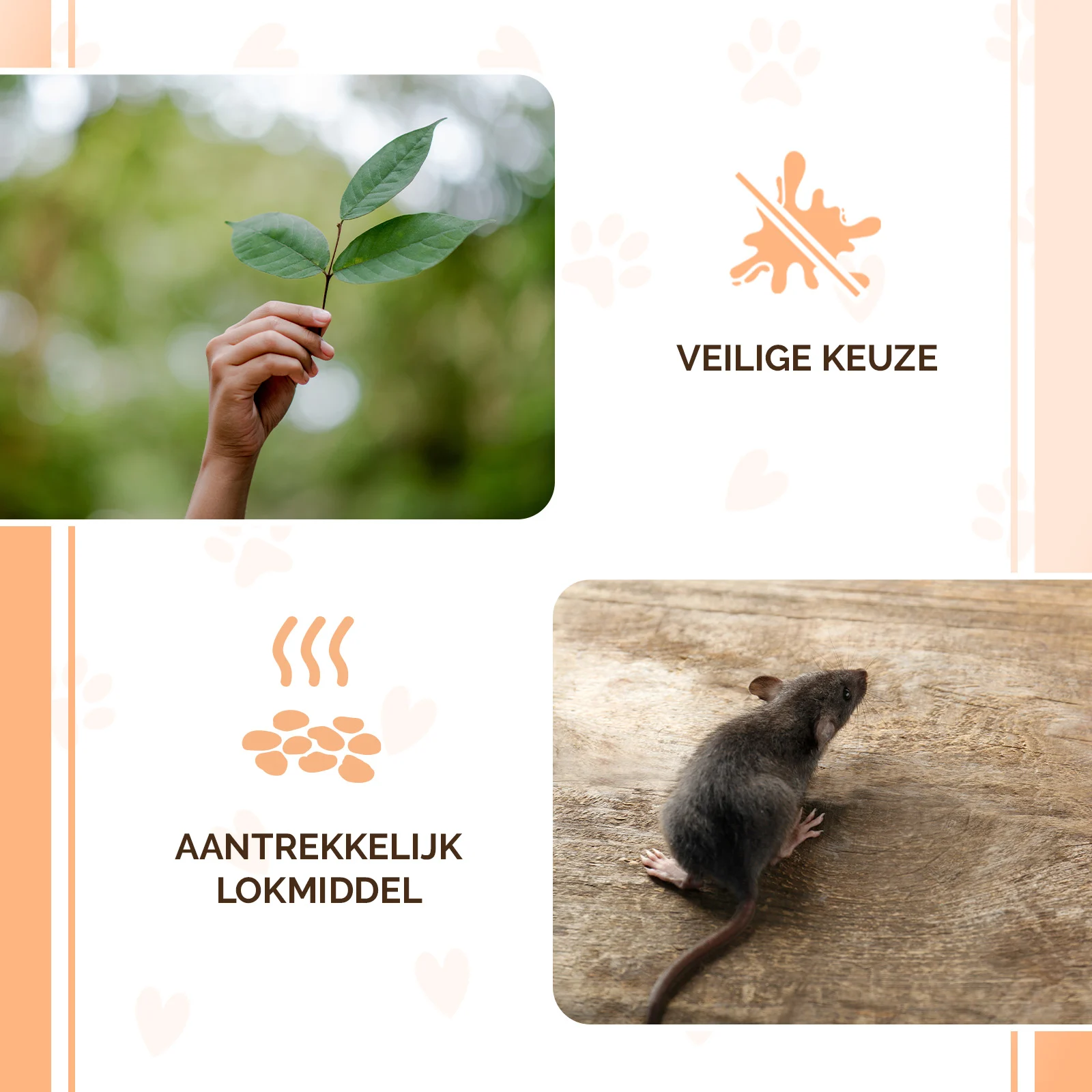 Pelete momeală pentru șoareci și șobolani, 50 g – Knock Pest Traktatie Pellets - imagine 4
