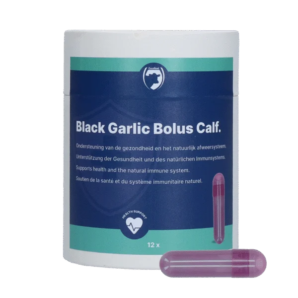 Bolus cu usturoi pentru viței, cu ginseng și cicoare – Excellent Black Garlic Bolus Kalf
