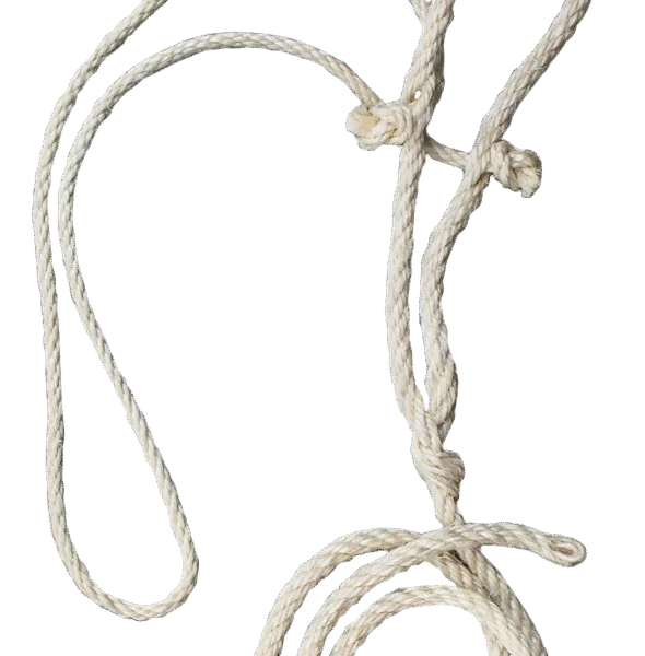 Căpăstru pentru bovine din sisal, cu frânghie subțire pentru cap, 200 cm