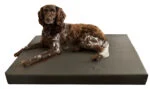 Pat ortopedic pentru câini cu 3 cm de spumă cu memorie, 75 x 100 cm – Hofman Animal Care HD Dog Bed M - imagine 2