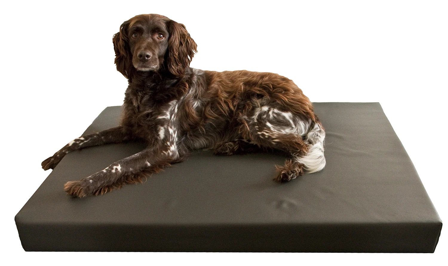 Pat ortopedic pentru câini cu 3 cm de spumă cu memorie, 75 x 100 cm – Hofman Animal Care HD Dog Bed M - imagine 2