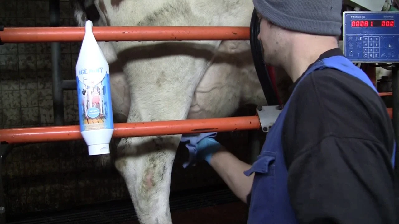 Gel pentru uger cu ulei de mentă, 2,5 l – Vet Animal Care Ice Mint - imagine 2