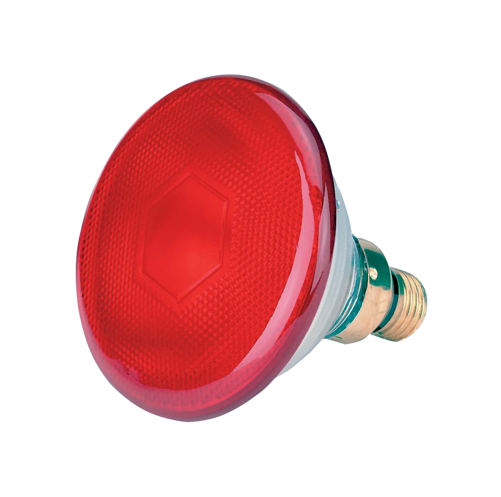 Bec economic roșu 100 W - imagine 1
