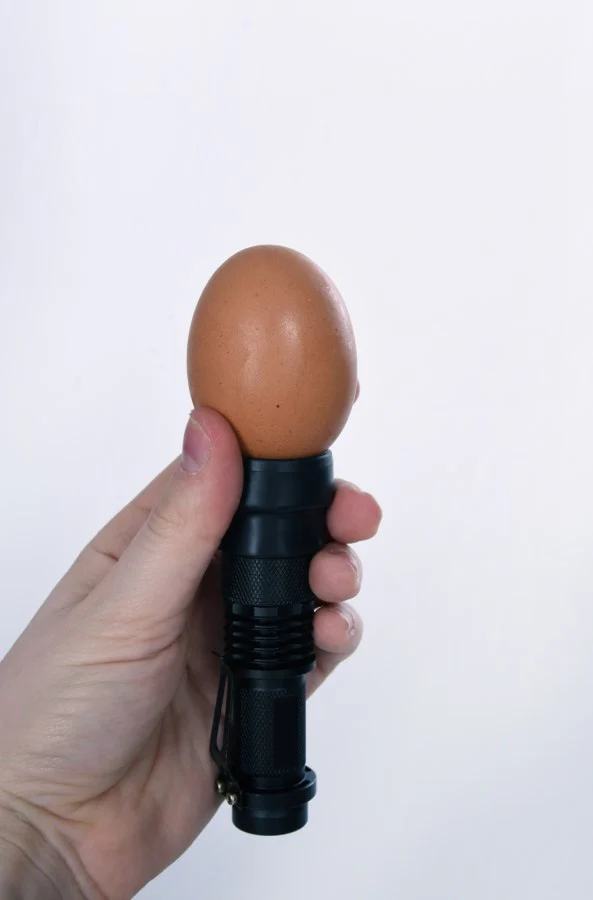 Lampă de ovoscopie cu LED pentru ouă, cu 2 capete din cauciuc – Kerbl - imagine 6