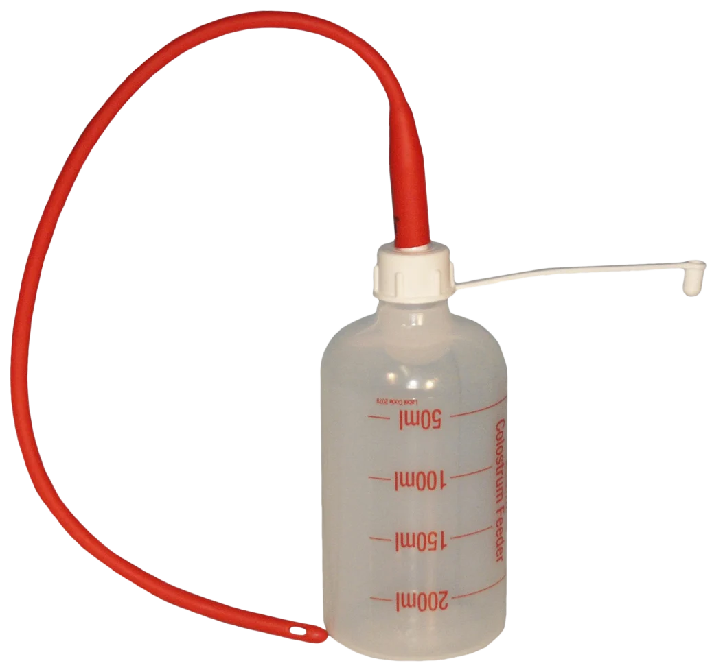 Sondă pentru miei de 40 cm cu biberon de 250 ml - imagine 1