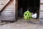 Bloc de ciugulit pentru găini ouătoare din fân de pajiște, 3,5 kg – LAX Tierfutter - imagine 4