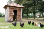 Bloc de ciugulit pentru găini ouătoare din fân de pajiște, 3,5 kg – LAX Tierfutter - imagine 5
