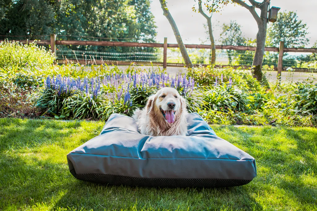 Pernă de exterior pentru câini, cu exterior hidrofug, antracit XL, 125 x 90 x 10 cm – Let's Sleep Cushy Cloud - imagine 2