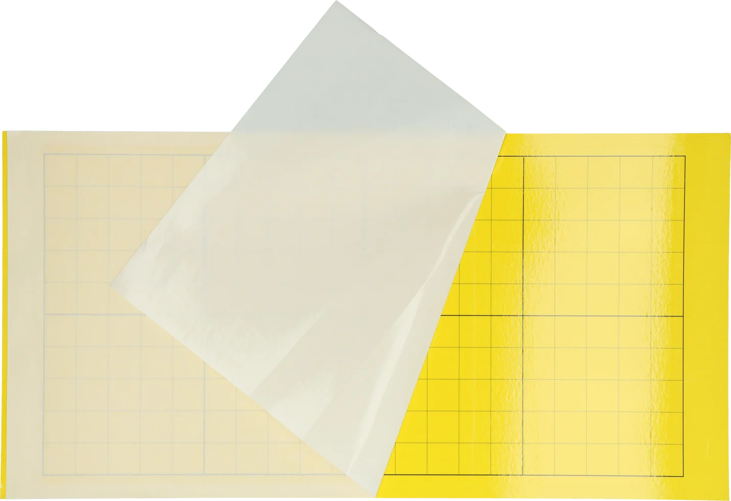 Plăci adezive cu două fețe, 50,5 x 25,5 cm, 6 bucăți – Insectron 200/300 - imagine 1