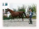 Lonjă cu mâner moale și carabină rotativă, 8 m, neagră și roșie - imagine 2