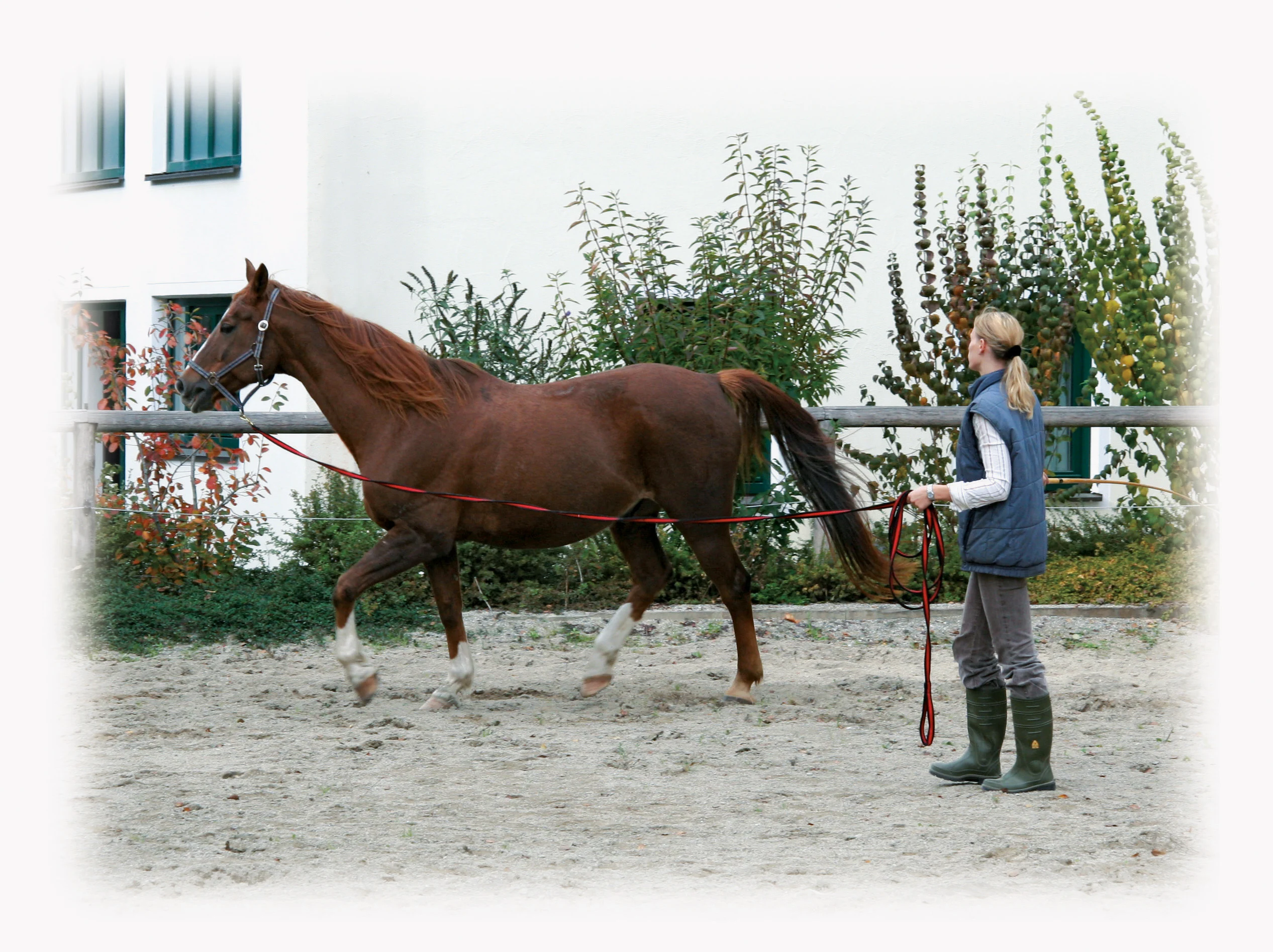 Lonjă cu mâner moale și carabină rotativă, 8 m, neagră și roșie - imagine 2