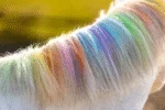 Creioane colorate pentru părul cailor, culori curcubeu, 6 bucăți – Lucky Horse Unicorn creioane colorate curcubeu - imagine 6