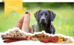 Recompense pentru dresaj cu carne și somon, inimioare mici, 500 g – Luna's Choice Trainer Mix Hartjes (klein) - imagine 2