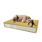 Pernă ortopedică pentru câini cu spumă cu memorie, galbenă, S, 45 x 55 x 12 cm – Pernă ortopedică Velvet Madison - imagine 2