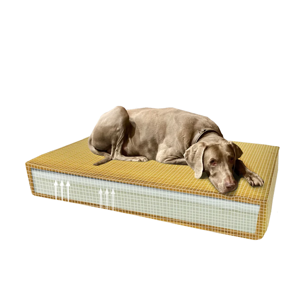 Pernă ortopedică pentru câini cu spumă cu memorie, galbenă, S, 45 x 55 x 12 cm – Pernă ortopedică Velvet Madison - imagine 2