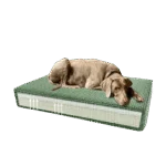 Pernă ortopedică pentru câini cu spumă cu memorie, verde, S, 45 x 55 x 12 cm – Pernă ortopedică Madison din catifea - imagine 4