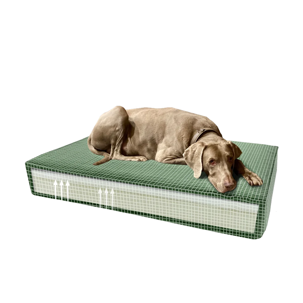 Pernă ortopedică pentru câini cu spumă cu memorie, verde, S, 45 x 55 x 12 cm – Pernă ortopedică Madison din catifea - imagine 4