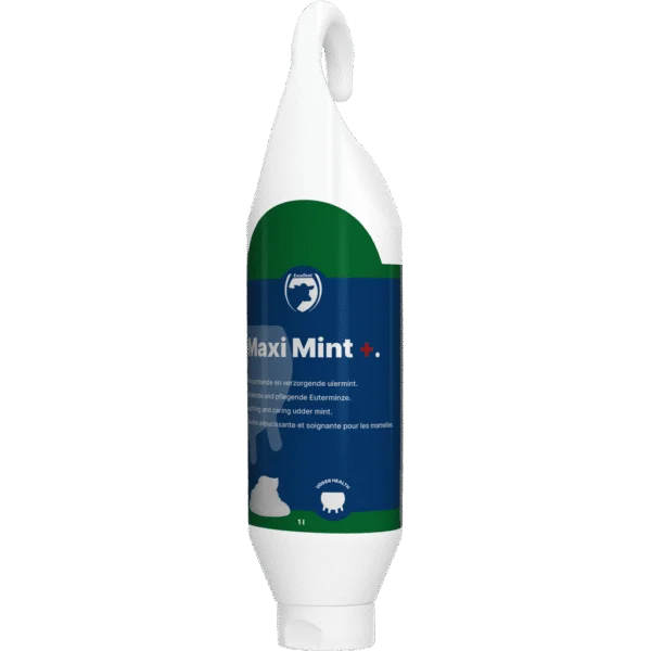 Gel pentru uger cu ulei de mentă, tub care poate fi așezat sau agățat 1 l – Excellent Maxi Mint+