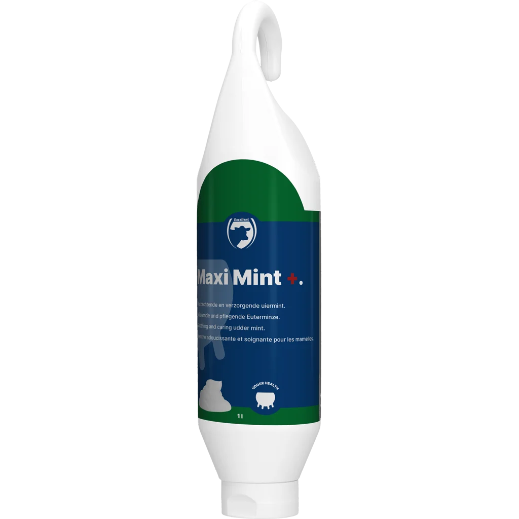 Gel pentru uger cu ulei de mentă, tub care poate fi așezat sau agățat 1 l – Excellent Maxi Mint+ - imagine 1