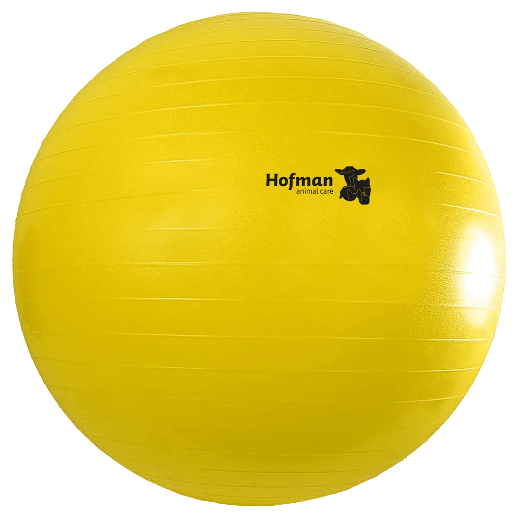 Minge de joacă pentru cai, galbenă, 75 cm – Maximus Power Play Ball - imagine 2