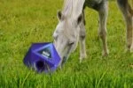 Cub interactiv de hrănire pentru cai, cu deschizătură pentru recompense de 37 mm, albastru – Maximus Feed & Play Cube - imagine 3